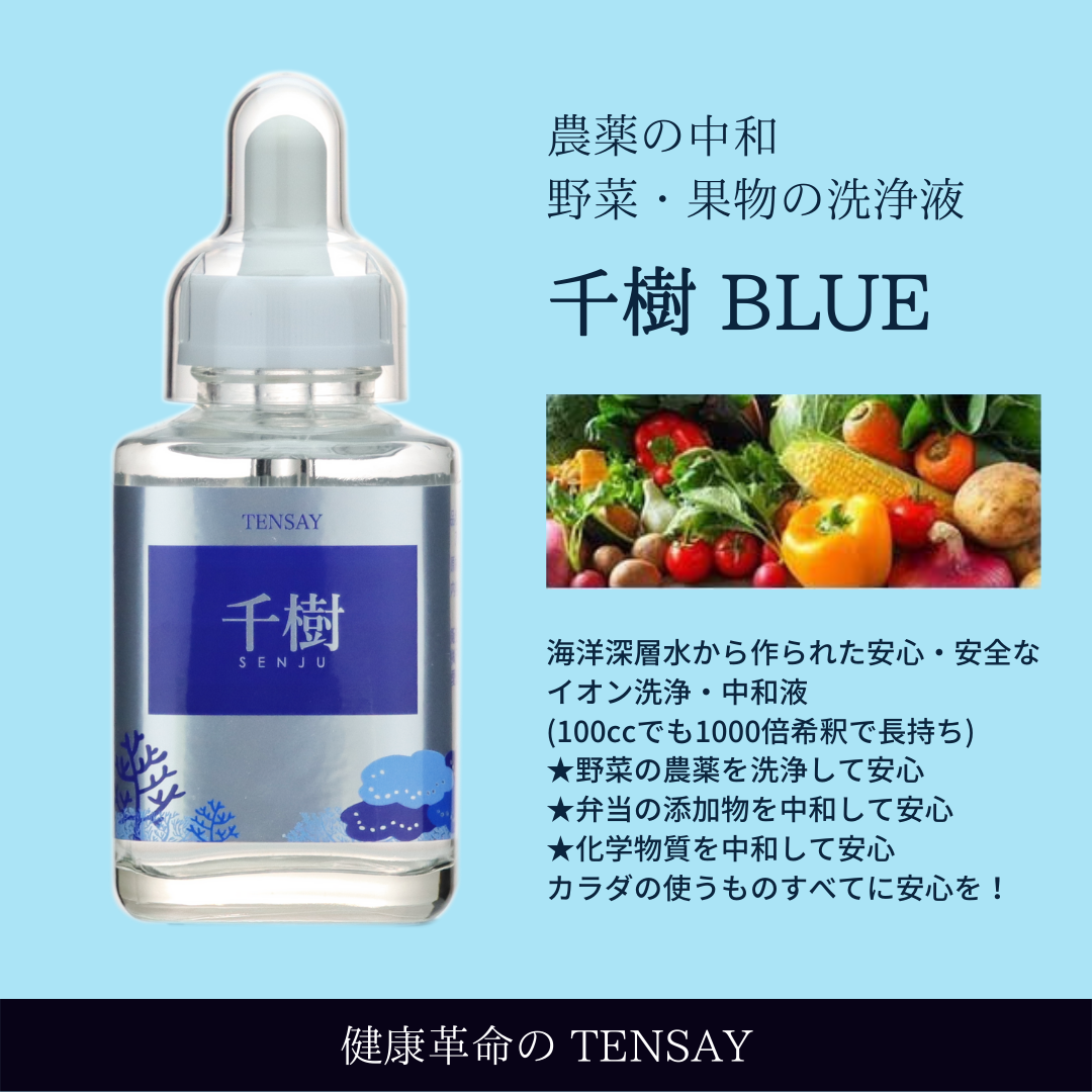 千樹BLUE
