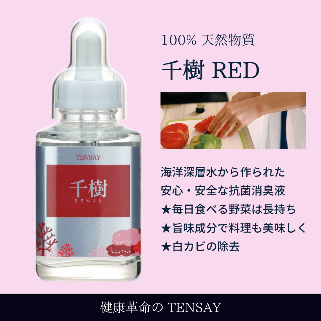 千樹RED